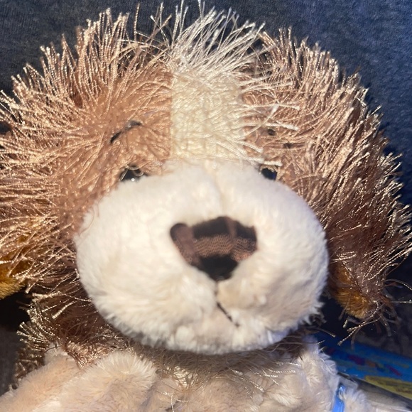 WEBKINZ Ganz Cocker Spaniel HM011 Hang/But tag no code stuffed animal plush - Picture 3 of 14